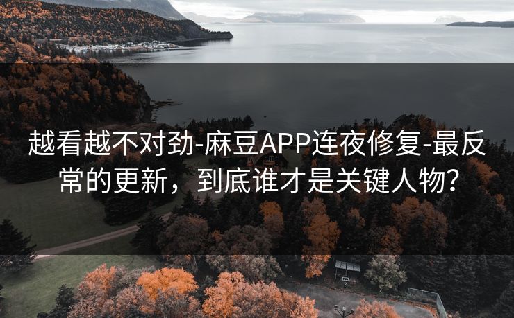 越看越不对劲-麻豆APP连夜修复-最反常的更新，到底谁才是关键人物？